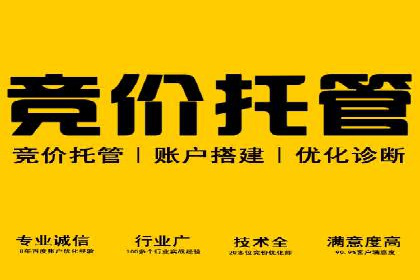 竞价托管sem深度解析：效果与投入的平衡